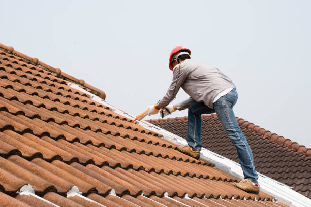 Best Roof Maintenance and Cleaning  in Laurinburg, NC